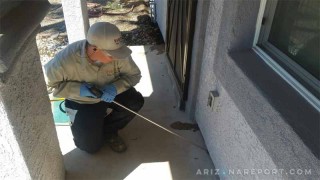 Phoenix AZ Termite Contractor