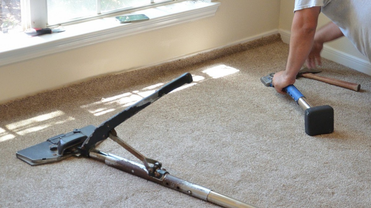 12 Things Your Carpet Installer Forgot To Mention The Arizona Report