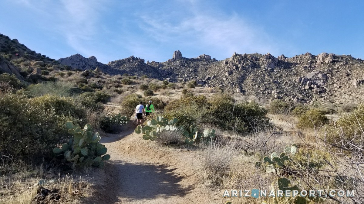 McDowell Sonoran Preserve trail Tom's Thumb trailhead dogs best hikes Scottsdale